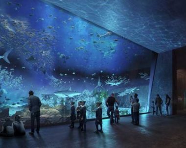 Mazatlán elegido para tener acuario