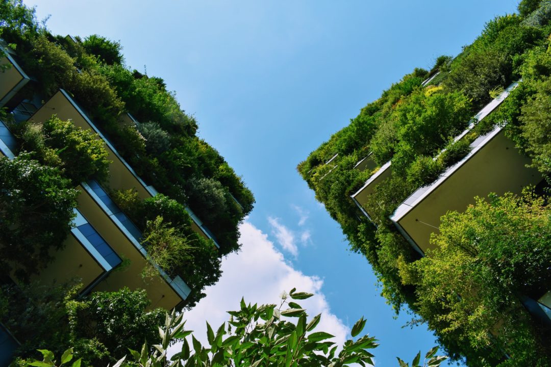 ¿Qué es la Arquitectura Sustentable?